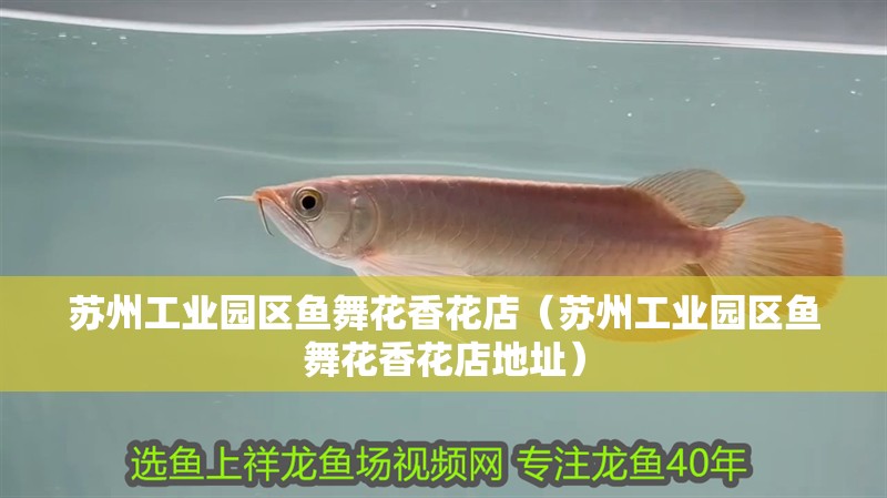 蘇州工業園區魚舞花香花店（蘇州工業園區魚舞花香花店地址） 蘇州工業園區魚舞花香花店（蘇州工業園區魚舞花香花店地址） 全國水族館企業名錄