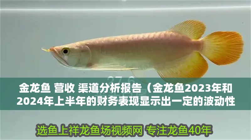 魚缸過濾器選購指南:自制魚缸過濾器魚缸上置過濾器對于養魚愛好者的必備知識 金龍魚 營收 渠道分析報告(金龍魚2023年和2024年上半年的財務表現顯示出一定的波動性) 龍魚百科 金龍魚 營收 渠道分析報告(金龍魚2023年和2024年上半年的財務表現顯示出一定的波動性) 金龍魚 營收 渠道分析報告(金龍魚2023年和2024年上半年的財務表現顯示出一定的波動性) 龍魚百科