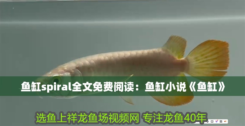 魚缸spiral全文免費閱讀：魚缸小說《魚缸》