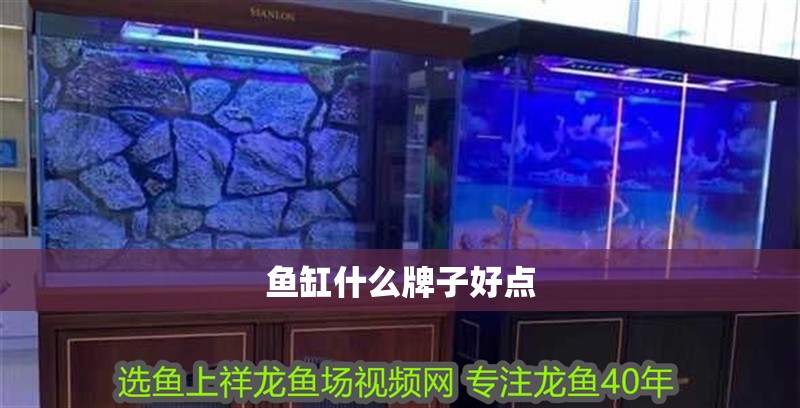 魚缸什么牌子好點