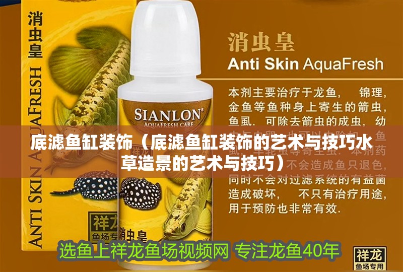 底濾魚缸裝飾（底濾魚缸裝飾的藝術與技巧水草造景的藝術與技巧）