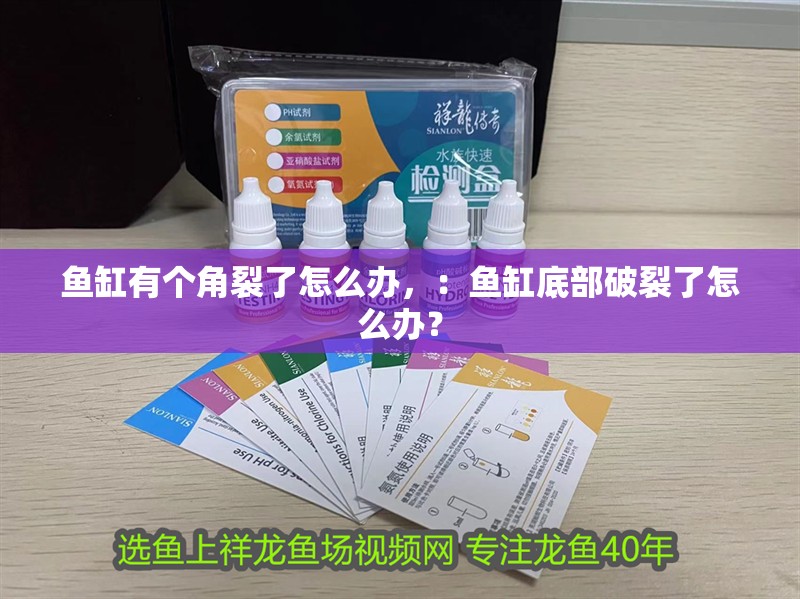 魚缸有個(gè)角裂了怎么辦，：魚缸底部破裂了怎么辦？