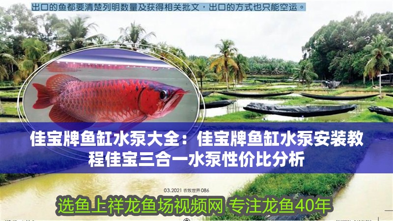 佳寶牌魚缸水泵大全：佳寶牌魚缸水泵安裝教程佳寶三合一水泵性價比分析