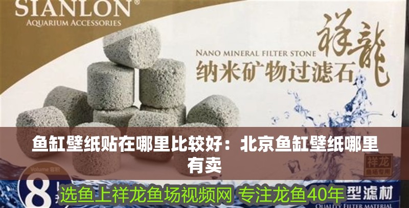 魚缸壁紙貼在哪里比較好：北京魚缸壁紙哪里有賣