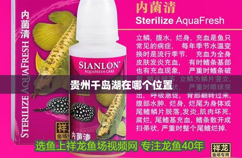 貴州千島湖在哪個位置