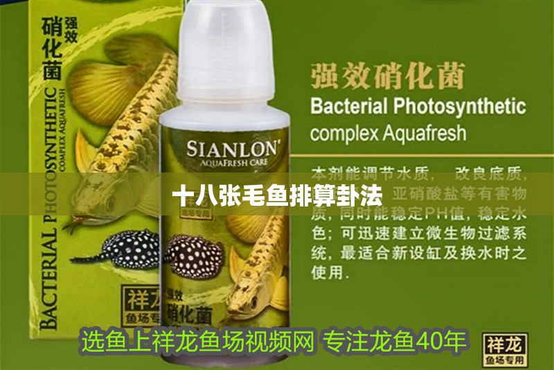 十八張毛魚排算卦法