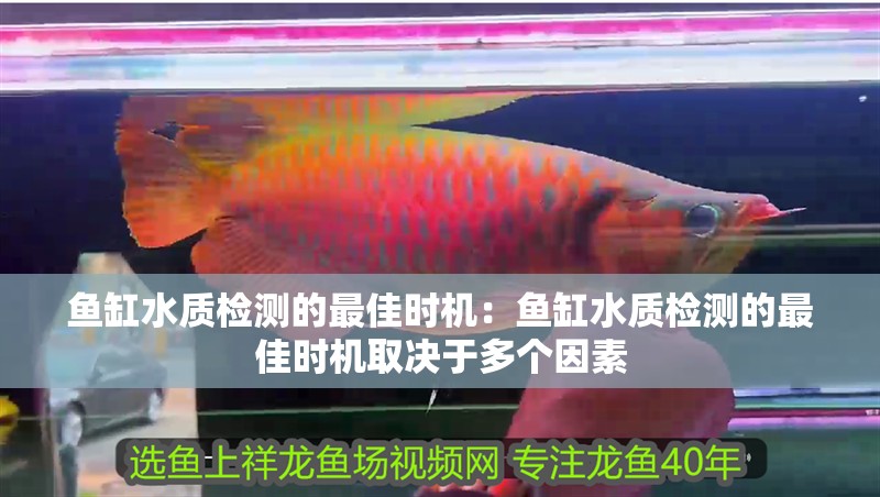魚缸水質檢測的最佳時機：魚缸水質檢測的最佳時機取決于多個因素