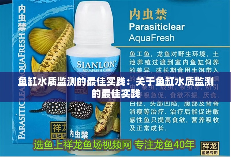 魚缸水質(zhì)監(jiān)測的最佳實(shí)踐：關(guān)于魚缸水質(zhì)監(jiān)測的最佳實(shí)踐