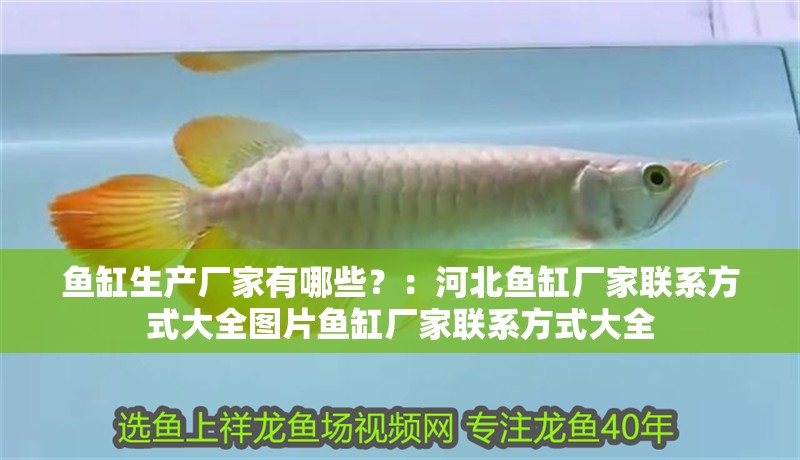 魚缸生產廠家有哪些？：河北魚缸廠家聯系方式大全圖片魚缸廠家聯系方式大全
