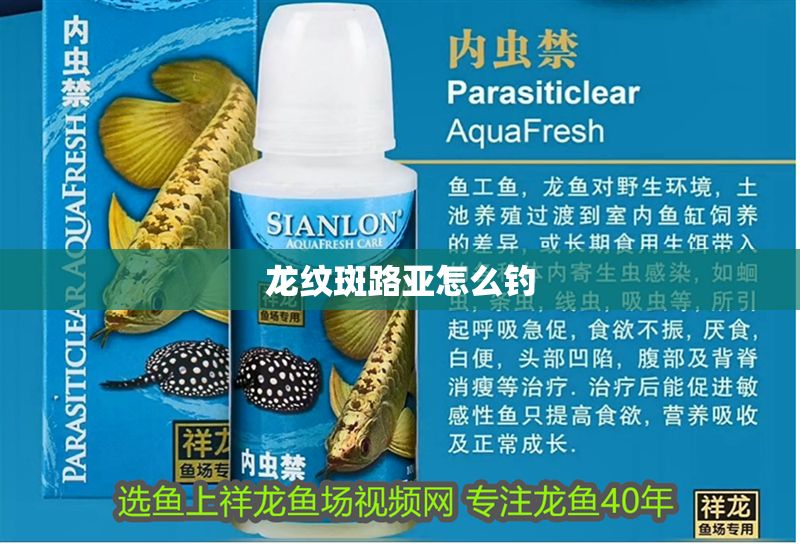 龍紋斑路亞怎么釣