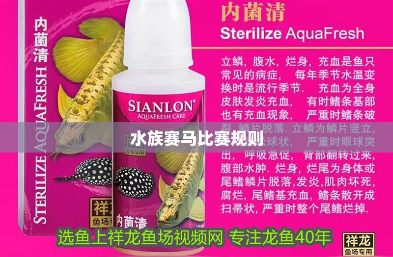 水族賽馬比賽規則