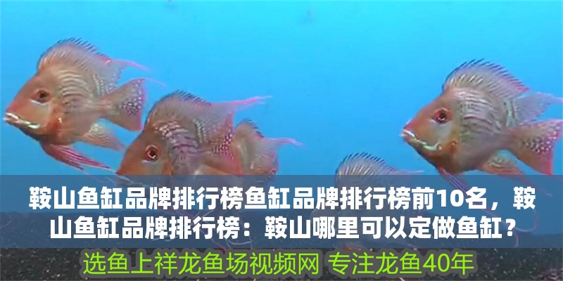 鞍山魚缸品牌排行榜魚缸品牌排行榜前10名，鞍山魚缸品牌排行榜：鞍山哪里可以定做魚缸？