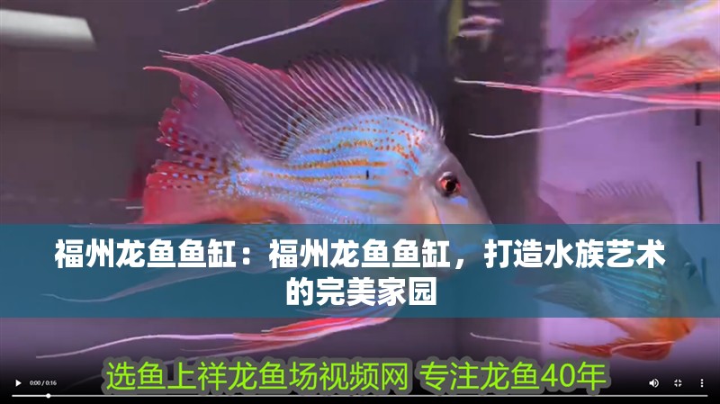 福州龍魚魚缸：福州龍魚魚缸，打造水族藝術的完美家園