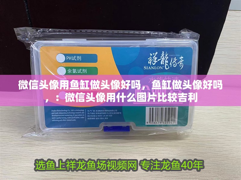 微信頭像用魚缸做頭像好嗎，魚缸做頭像好嗎，：微信頭像用什么圖片比較吉利