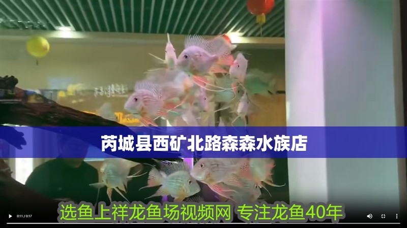 芮城縣西礦北路森森水族店