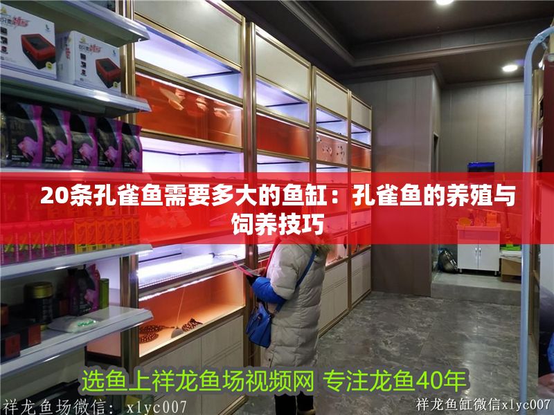 20條孔雀魚需要多大的魚缸：孔雀魚的養殖與飼養技巧