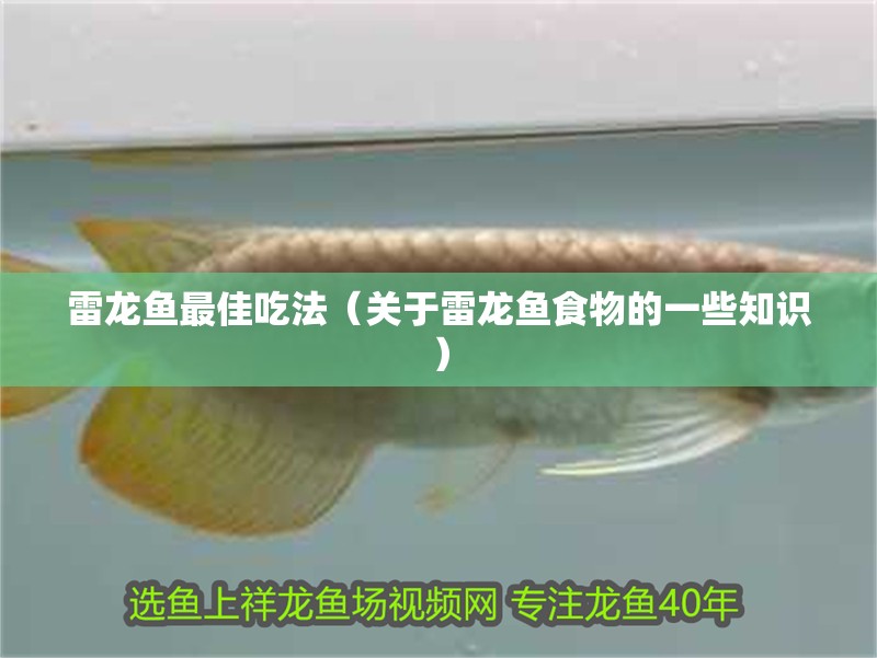 雷龍魚最佳吃法（關(guān)于雷龍魚食物的一些知識）