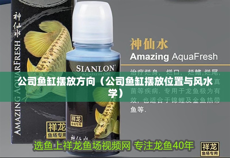 公司魚缸擺放方向（公司魚缸擺放位置與風水學）