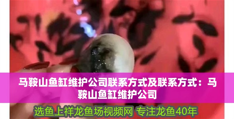 馬鞍山魚(yú)缸維護(hù)公司聯(lián)系方式及聯(lián)系方式：馬鞍山魚(yú)缸維護(hù)公司