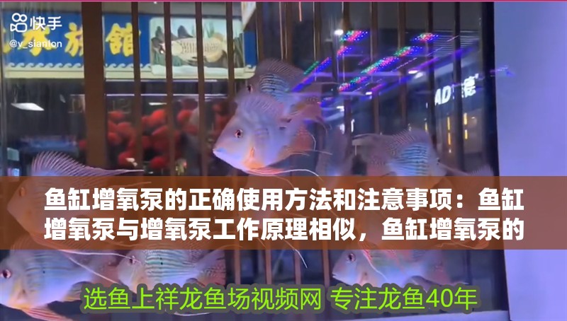 魚(yú)缸增氧泵的正確使用方法和注意事項(xiàng)：魚(yú)缸增氧泵與增氧泵工作原理相似，魚(yú)缸增氧泵的使用方法 魚(yú)缸增氧泵的正確使用方法和注意事項(xiàng)：魚(yú)缸增氧泵與增氧泵工作原理相似，魚(yú)缸增氧泵的使用方法 魚(yú)缸百科