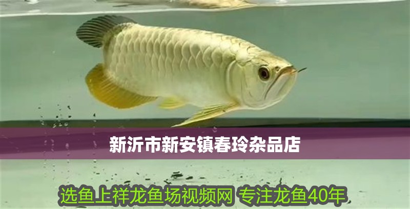 鸚鵡魚和銀龍魚混養怎樣喂食 新沂市新安鎮春玲雜品店 全國水族館企業名錄 新沂市新安鎮春玲雜品店 新沂市新安鎮春玲雜品店 全國水族館企業名錄