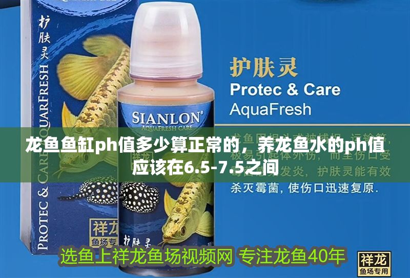 龍魚魚缸ph值多少算正常的,養龍魚水的ph值應該在6.5-7.5之間 魚缸百科 第2張 龍魚魚缸ph值多少算正常的,養龍魚水的ph值應該在6.5-7.5之間 龍魚魚缸ph值多少算正常的,養龍魚水的ph值應該在6.5-7.5之間 魚缸百科 第2張
