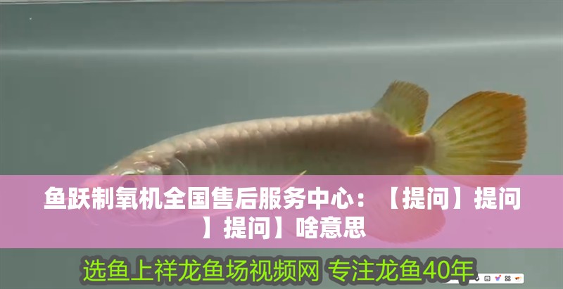 魚躍制氧機(jī)全國售后服務(wù)中心：【提問】提問】提問】啥意思