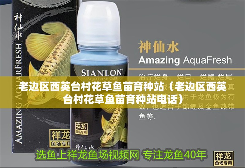 老邊區(qū)西英臺(tái)村花草魚(yú)苗育種站（老邊區(qū)西英臺(tái)村花草魚(yú)苗育種站電話）