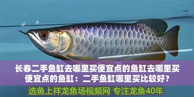 長春二手魚缸去哪里買便宜點的魚缸去哪里買便宜點的魚缸：二手魚缸哪里買比較好？
