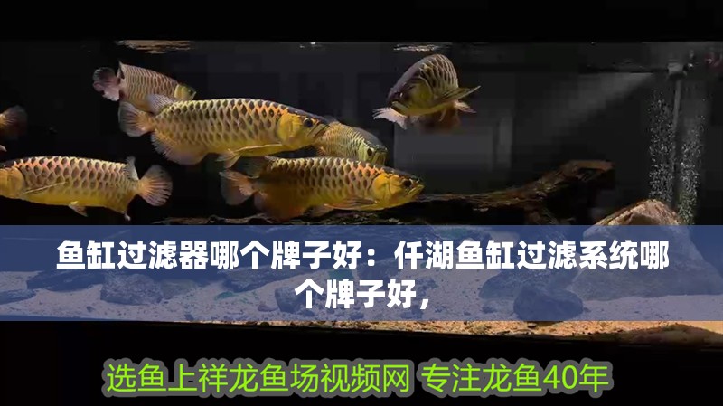 魚(yú)缸過(guò)濾器哪個(gè)牌子好：仟湖魚(yú)缸過(guò)濾系統(tǒng)哪個(gè)牌子好，