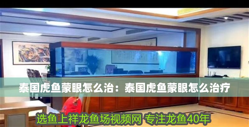 泰國虎魚蒙眼怎么治：泰國虎魚蒙眼怎么治療