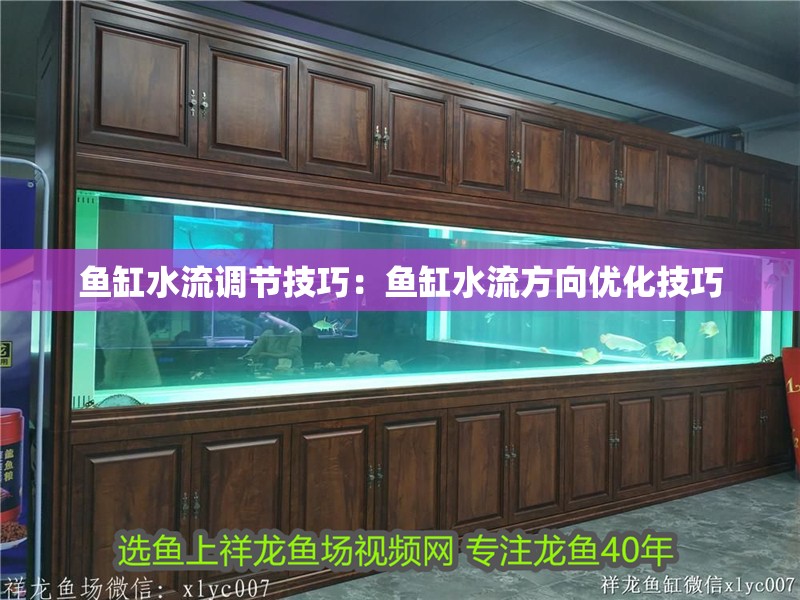 魚缸水流調節技巧：魚缸水流方向優化技巧