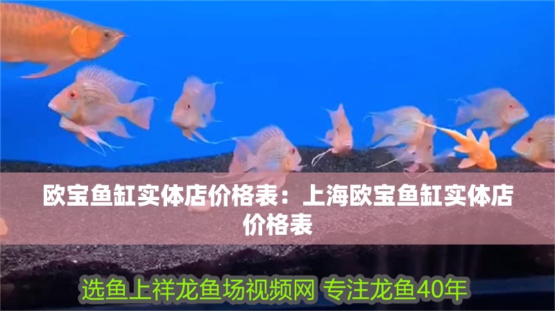 歐寶魚缸實體店價格表：上海歐寶魚缸實體店價格表