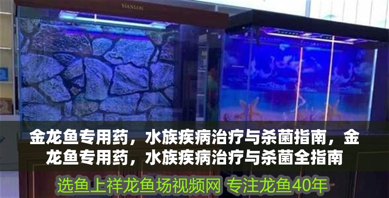 金龍魚專用藥，水族疾病治療與殺菌指南，金龍魚專用藥，水族疾病治療與殺菌全指南