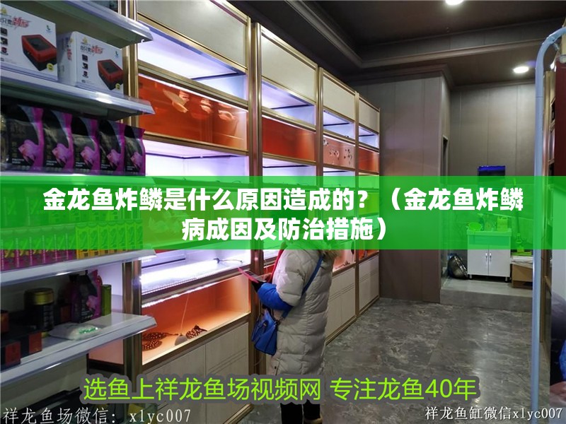 金龍魚炸鱗是什么原因造成的？（金龍魚炸鱗病成因及防治措施）