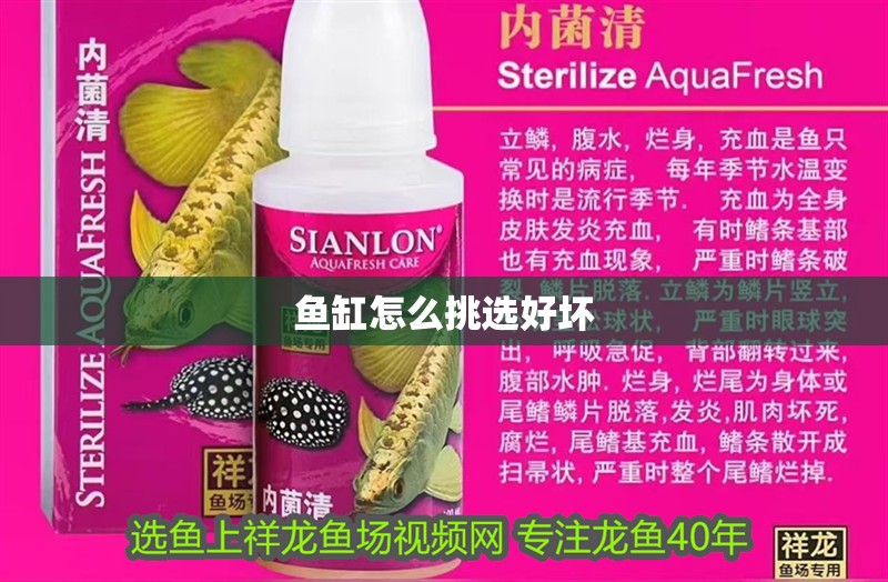 魚缸怎么挑選好壞