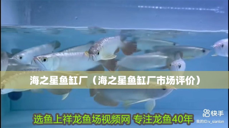 海之星魚缸廠（海之星魚缸廠市場評價）