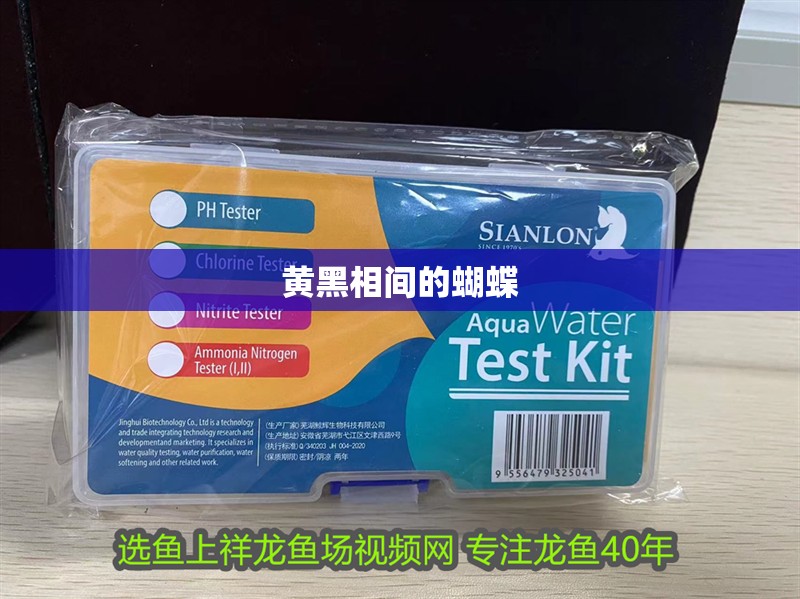 黃黑相間的蝴蝶