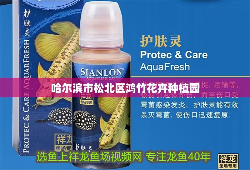 給大魚缸換水的作文:體驗給大魚缸換水的樂趣:體驗給大魚缸換水:給大魚缸換水的作文 哈爾濱市松北區鴻竹花卉種植園 全國水族館企業名錄 哈爾濱市松北區鴻竹花卉種植園 哈爾濱市松北區鴻竹花卉種植園 全國水族館企業名錄