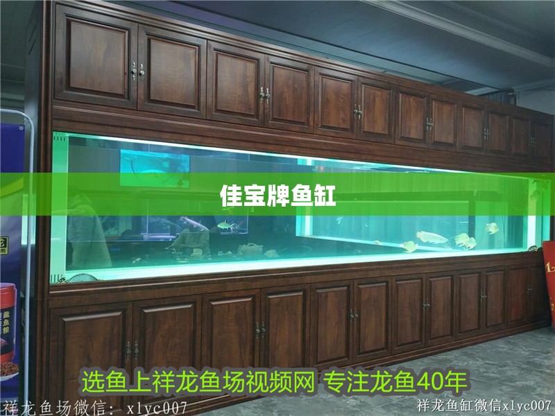 佳寶牌魚缸 佳寶牌魚缸 魚缸百科