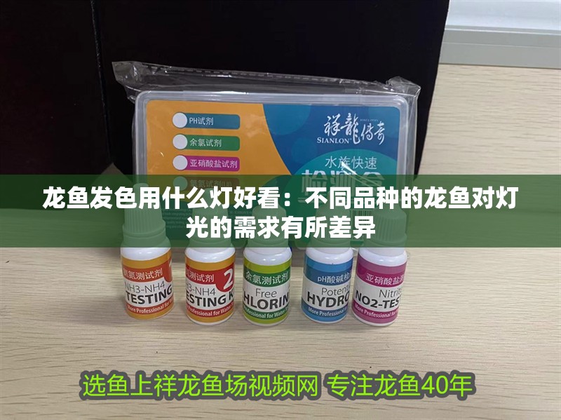 龍魚發色用什么燈好看：不同品種的龍魚對燈光的需求有所差異