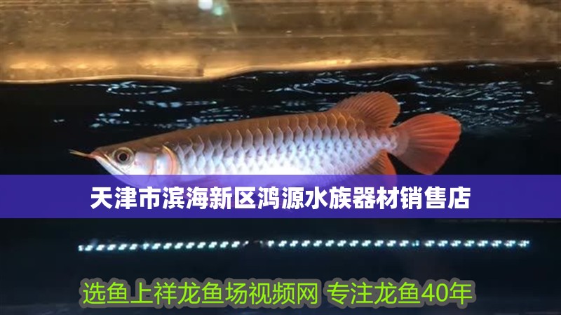 天津市濱海新區鴻源水族器材銷售店