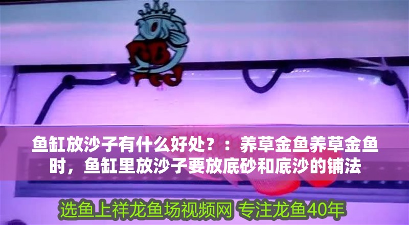 魚缸放沙子有什么好處？：養草金魚養草金魚時，魚缸里放沙子要放底砂和底沙的鋪法