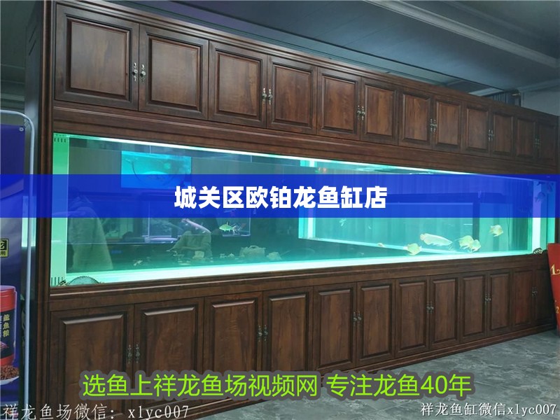 城關區歐鉑龍魚缸店