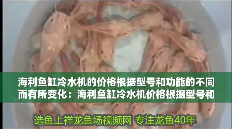 海利魚缸冷水機(jī)的價格根據(jù)型號和功能的不同而有所變化：海利魚缸冷水機(jī)價格根據(jù)型號和功能的不同而有所變化