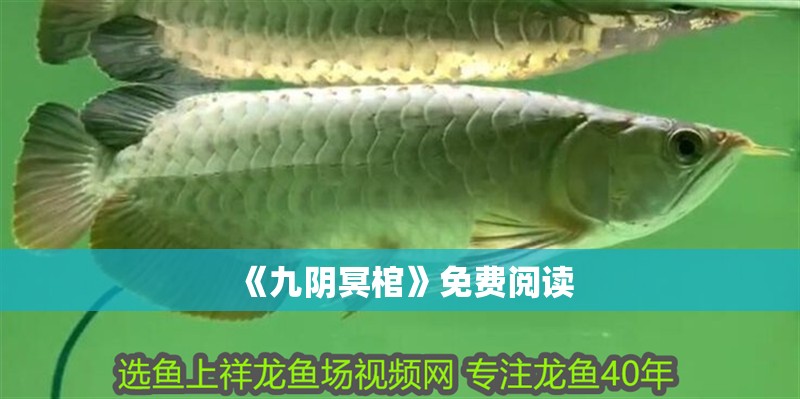 《九陰冥棺》免費(fèi)閱讀