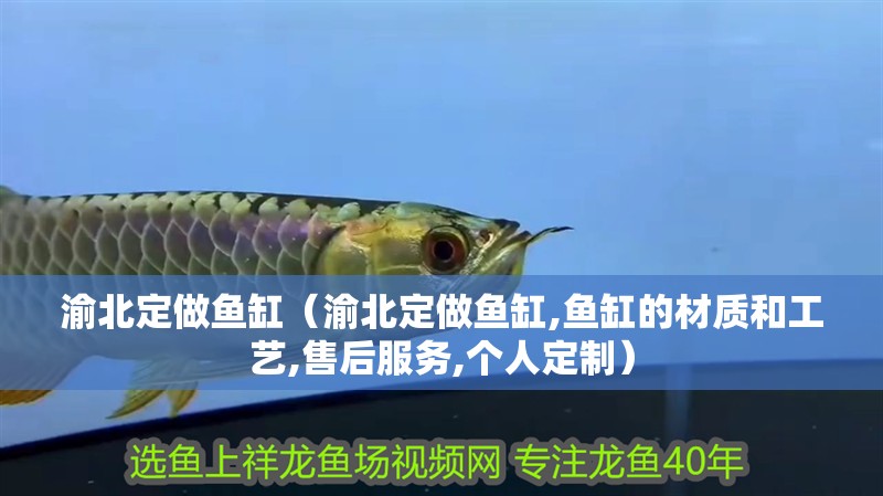渝北定做魚缸（渝北定做魚缸,魚缸的材質和工藝,售后服務,個人定制）