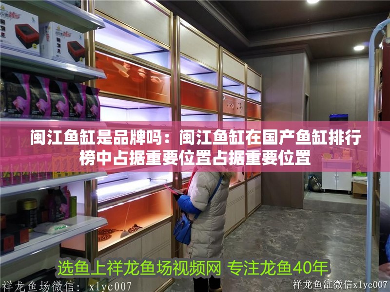 閩江魚缸是品牌嗎：閩江魚缸在國產魚缸排行榜中占據重要位置占據重要位置