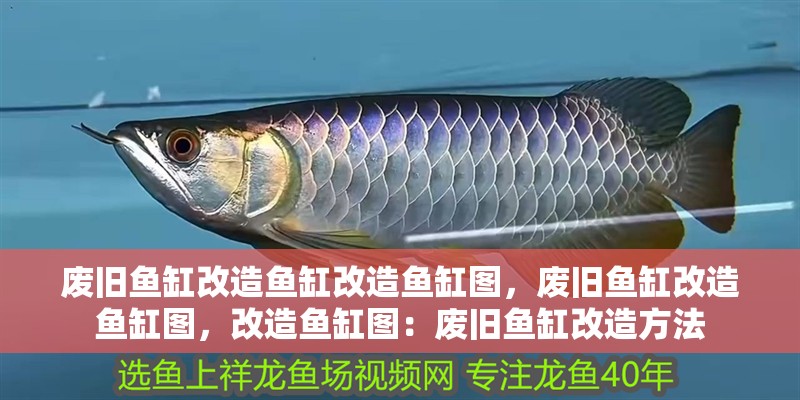 廢舊魚缸改造魚缸改造魚缸圖，廢舊魚缸改造魚缸圖，改造魚缸圖：廢舊魚缸改造方法