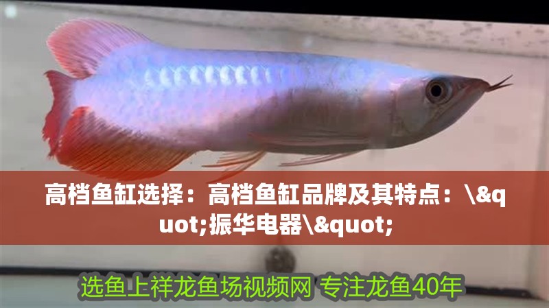 高檔魚缸選擇：高檔魚缸品牌及其特點：\"振華電器\"
